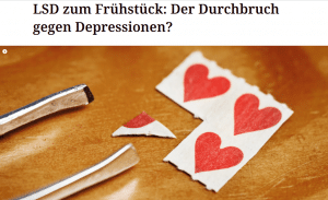 Artikel Zeitung Profil Österreich